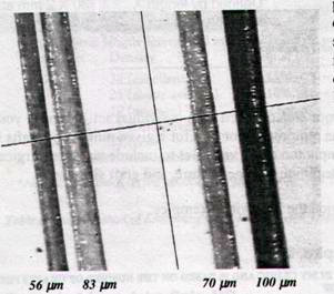 Hajszálak mérete: 56 -100 mikrométer (0,056 -0,1 mm) 